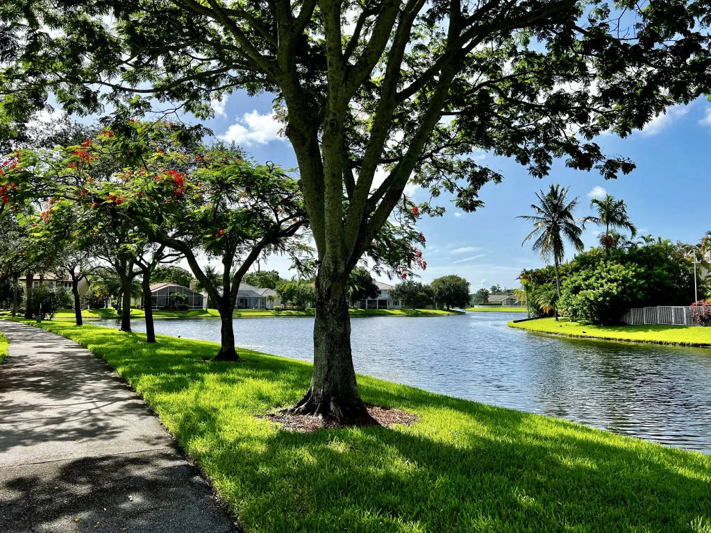 Tree-lined lake in a Coconut Creek residential neighborhood