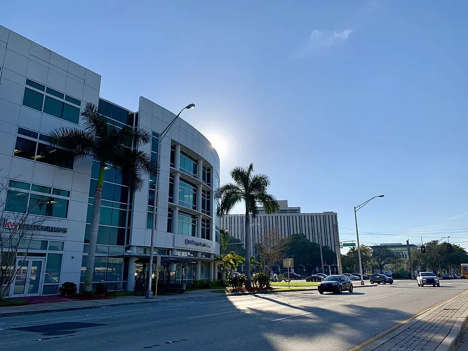 Street view of a modern office building with palm trees and cars on a sunny day.